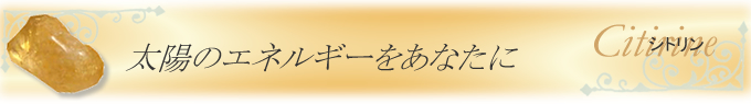 �V�g����