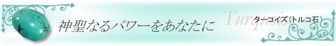 �^�[�R�C�Y