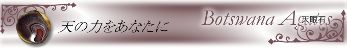 �V���